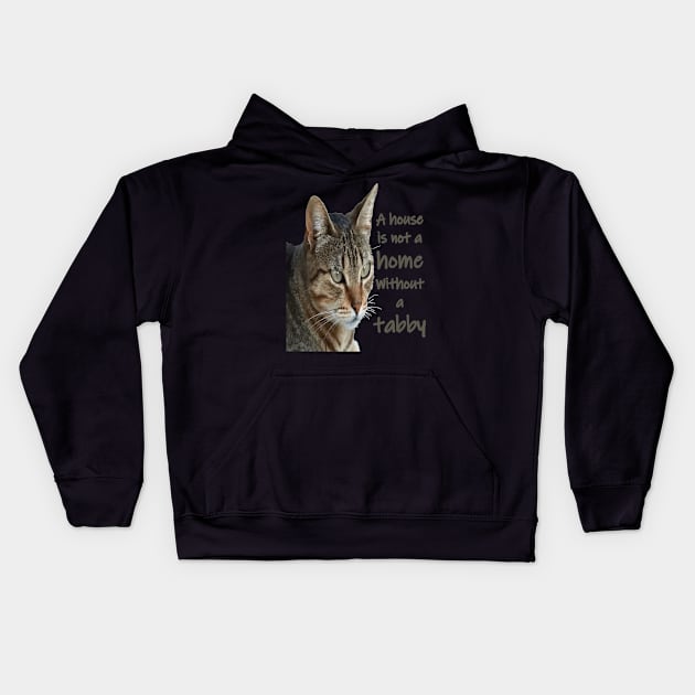 A House Is Not A Home Without A Tabby Cat Kids Hoodie by taiche